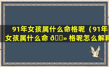 91年女孩属什么命格呢（91年女孩属什么命 🌻 格呢怎么解释）